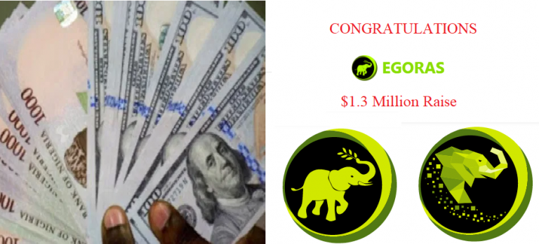 Nigeria’s Egoras Raises $1.3 Million in Private Round