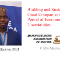 Ndubuisi Ekekwe To Speak In MAN’s CEOs Meeting