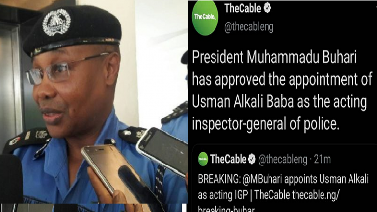 The New IGP Usman Alkali Baba – And Calling for a New Playbook