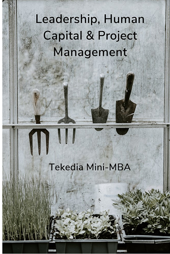 Leadership, Human Capital & Project Management At Tekedia Mini-MBA