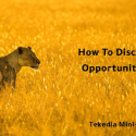 Tekedia Live Schedule For This Week – How To Discover Opportunities
