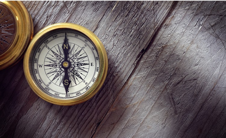 Do Not Conform in Markets – Pioneer Your Path and Thrive!