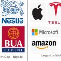 What Nigeria and United States Largest Public Companies Teach About their Economies