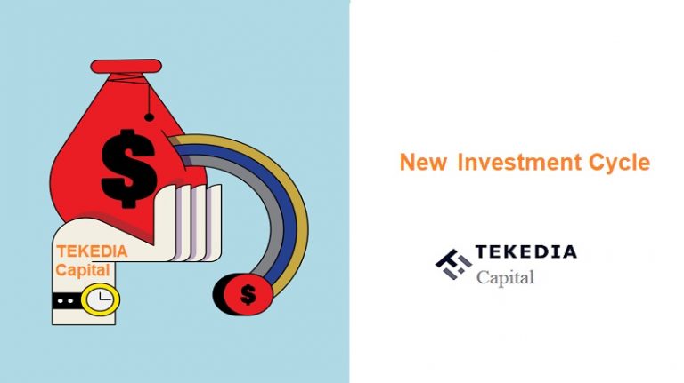 Tekedia Capital Publishes New Investment Cycle with Key Dates