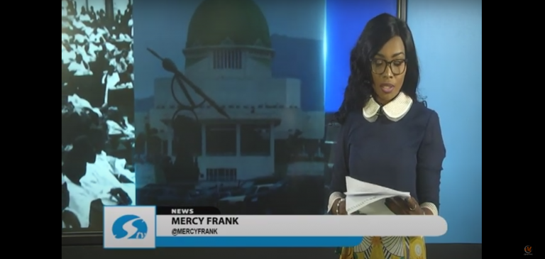 Welcome, TV Anchor To Tekedia Institute Mini-MBA