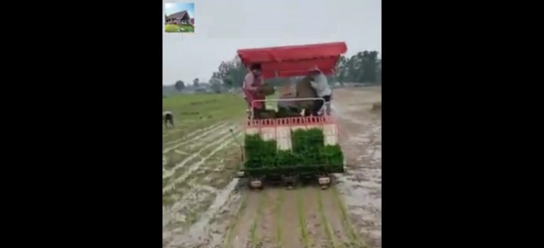 Nations rise when they improve productivity [Video]