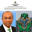 The Central Bank of Nigeria (CBN)’s Bitt Inc Appointment for eNaira