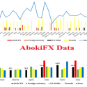 Does AbokiFX’s Foreign Exchange Information Provision Facilitate Naira Dwindling? Insights From Public Behaviour