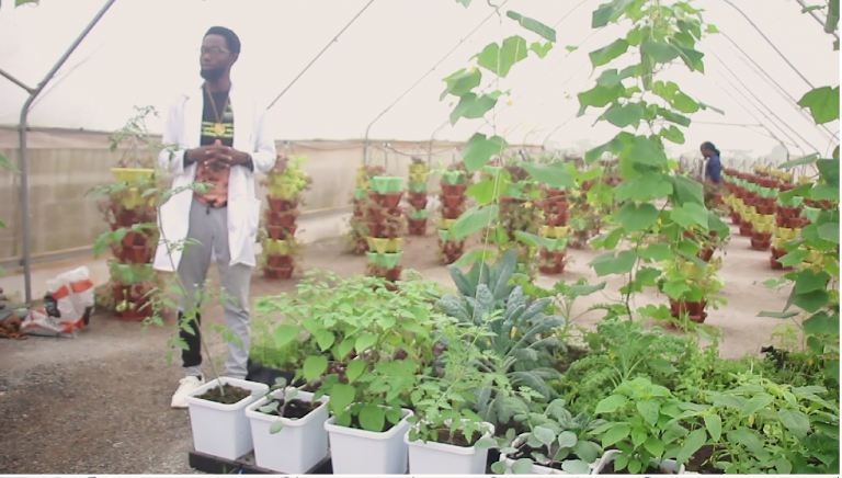 A $1.5 Billion Facility To Avert Food Crisis In Africa Approved