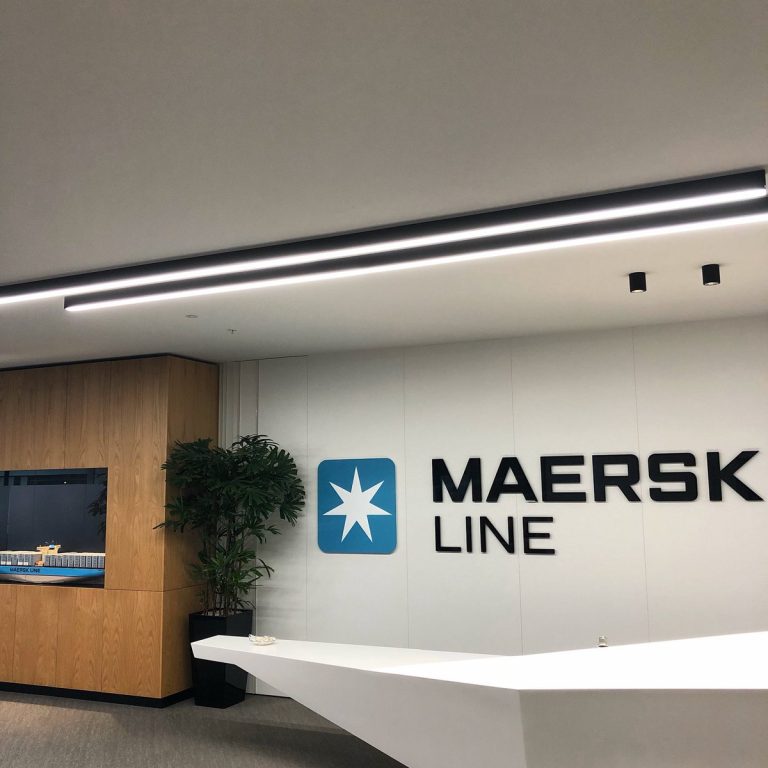 Ndubuisi Ekekwe Spoke in Maersk on “Agility in Workplaces”
