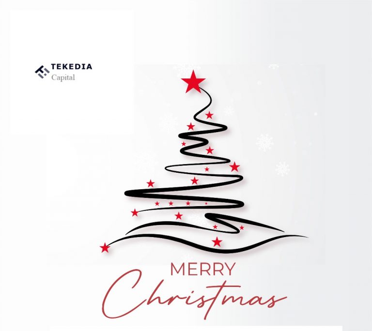 Merry Christmas and a great New Year ahead from Tekedia Capital