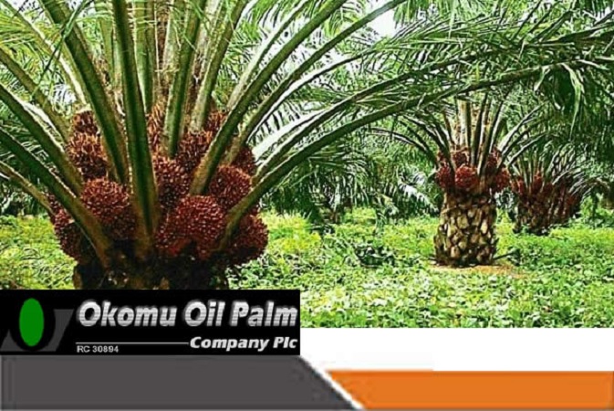The Lessons from Okomu Oil Palm and BUA Foods in Nigeria