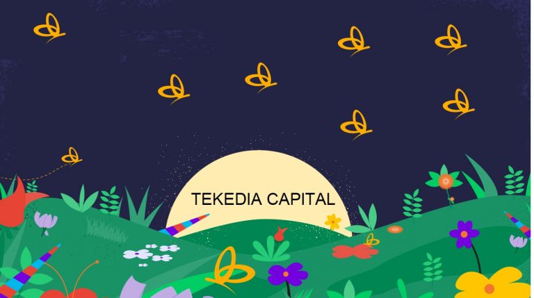 Why We Invest in African Startups  – Flutterwave’s Data Shows Infancy in Decades-Long Transformation