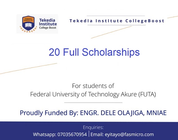 Tekedia Institute Receives Scholarships for FUTA Students