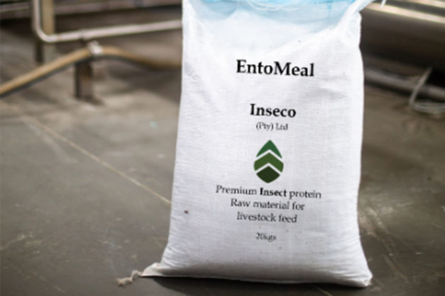 South African Startup Inseco, Secures $5.3m in A Seed Round to Expand Production