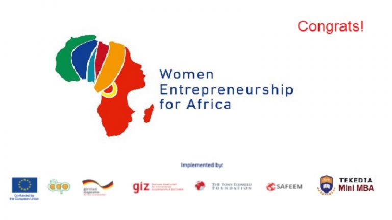 Tekedia Mini-MBA Scholarships to “Women Entrepreneurship for Africa” Innovators