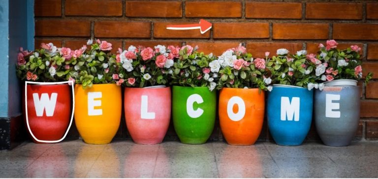 Welcome Project Champions, Welcome Innovators – Logins Sent for Tekedia Mini-MBA Edition 8