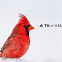 Use Creative Job Titles To Attract Talent in Your Startup