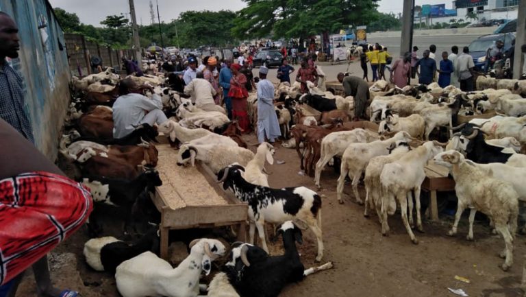 Eid Adah: Many Muslim households look forward to a crest-fallen market as the current market price of Rams is unfavourable