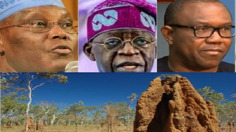 Young People, Like Ants in Anthills, You Are The Living STRUCTURES for Nigeria 2023