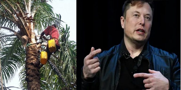 Elon Musk Must Learn from Diochi, The Palm Wine Tapper, Who Never Tells All He Sees on Palm Trees