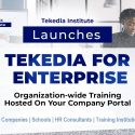 Tekedia Launches Tekedia for Enterprise
