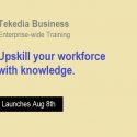 Tekedia Business – Enterprise-wide Training – Launches Aug 8th. Upskill your workforce.