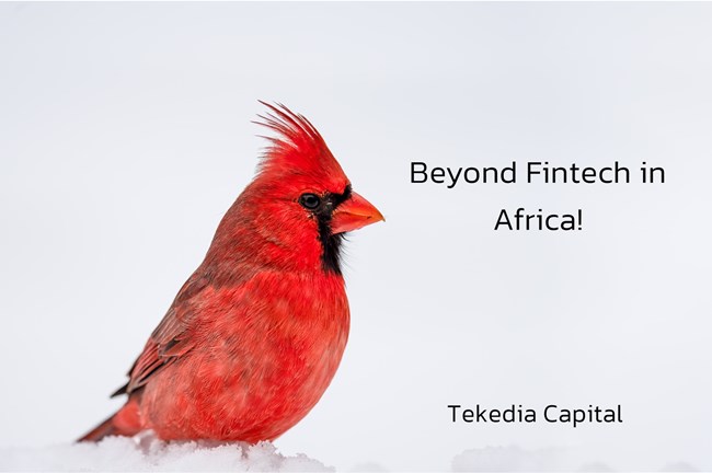 Beyond Fintech in Africa – Submit Your Pitch Deck to Tekedia Capital