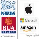 Nigeria’s Largest Public Companies And Lessons from America – The Challenge of Lost Future