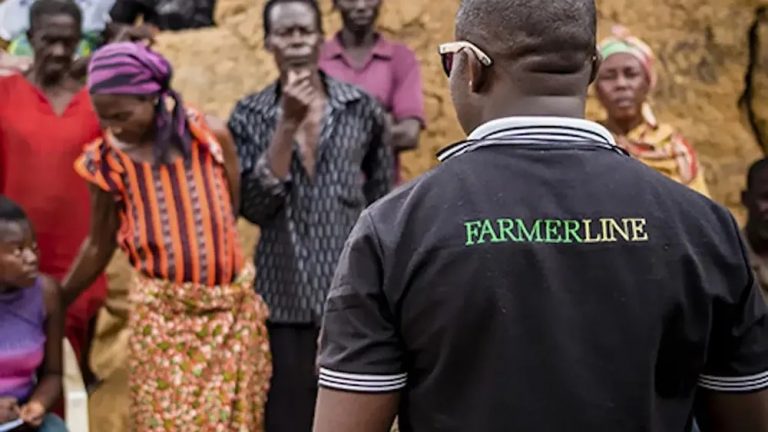 Agritech Startup Farmerline Secures $1.5 Million Equity Funding From Social Impact Investor Oikocredit