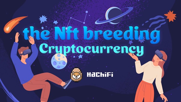 Why You Should Trade In HachiFi (HACH) and Dogecoin (DOGE) In 2022