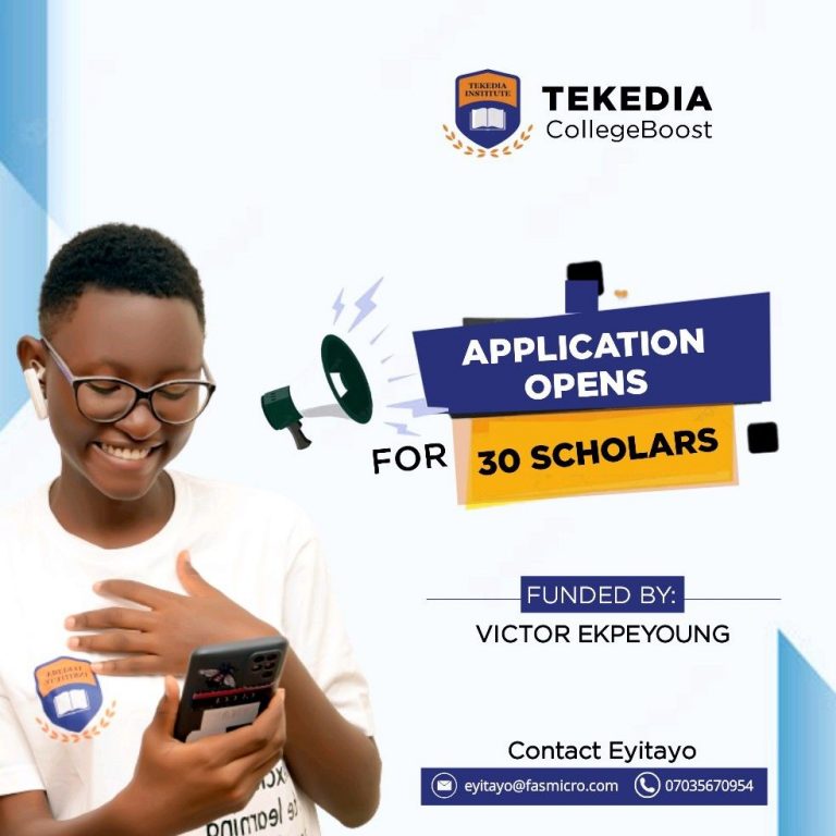 Tekedia Institute Has 30 Available Scholarships for Students
