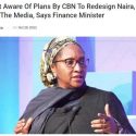 Nigeria’s Central Bank Did Not Tell the Finance Ministry of Plan To Redesign Naira