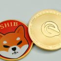 Two Meme Projects To Look Into For 2023 – Shibarium By Shiba Inu And Big Eyes Coin Launch