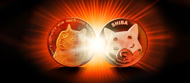 Dogecoin vs Shiba: Which Crypto Should You Buy