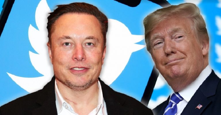 I voted YES for Twitter to Reinstate Donald Trump