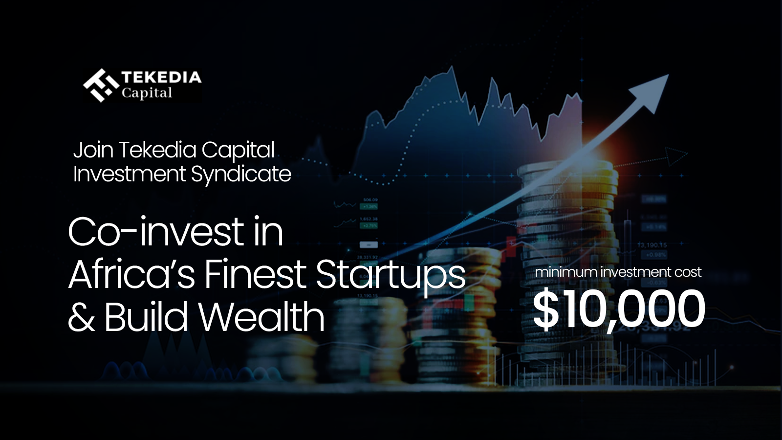 Tekedia Capital invest