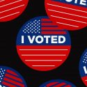 I just voted – The American Orchestra of Democrats and Republicans