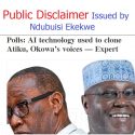 Public Disclaimer Issued by Ndubuisi Ekekwe