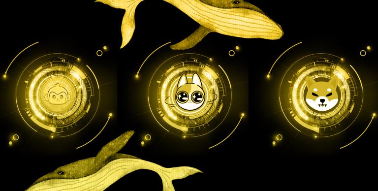 3 cryptocurrencies whales could be buying right now: Mooky, ShibaInu, Big Eyes