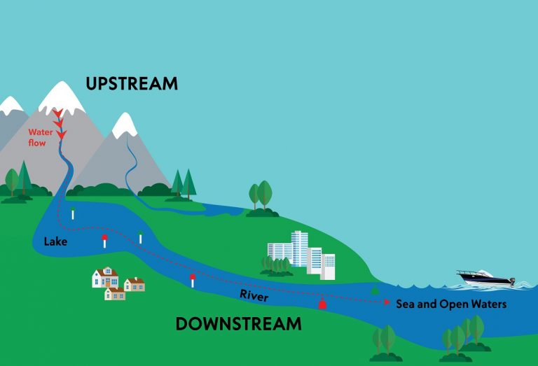 Leave Downstream, Go Upstream and Capture More Value in Markets