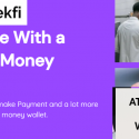 Tekedia Capital Invests In Benin Republic-Based MeekFi