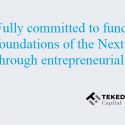 Tekedia Capital – Our Commitment to Africa’s Entrepreneurial Capitalism