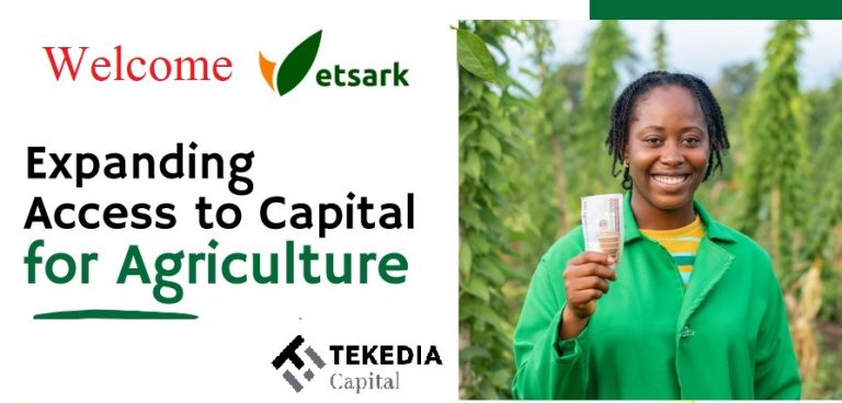 Tekedia Capital Invests in Vetsark