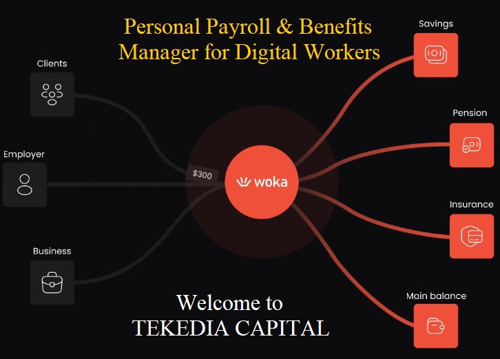 Tekedia Capital Invests in Woka