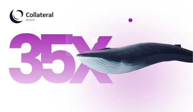 Bitcoin Cash (BCH) Price Rallies Alongside Ethereum Classic (ETC), Collateral Network (COLT) Offers Biggers Gain Than Both This Year