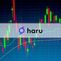 Haru Invest Freezes All Fiat and Crypto Withdrawal