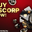 Scorpion Casino Passes $3.5m In Presale While Solana And Avalanche Witness Price Surges