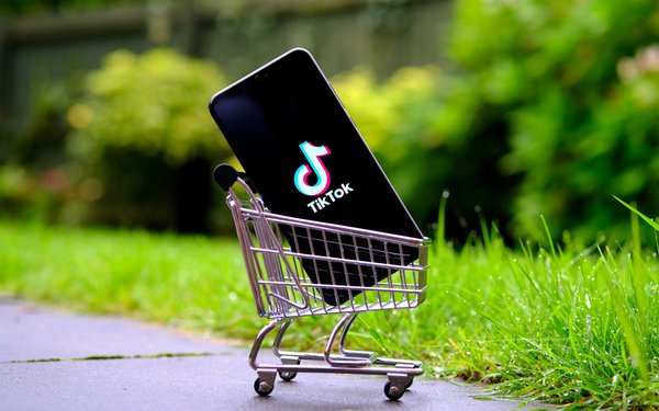 The Politics and Economics of TikTok’s Ban in the USA