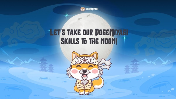 Toshi on the Coinbase Blockchain; Spotlight on the ERC-20 Tokens, SHIB & DogeMiyagi